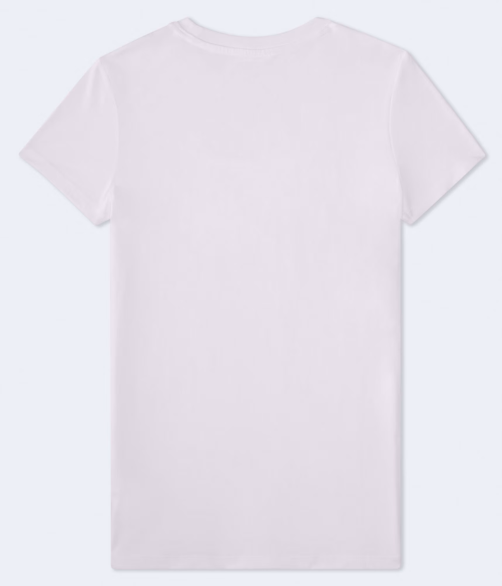 Aero 1987 Butterfly Appliqué Graphic Tee bleach