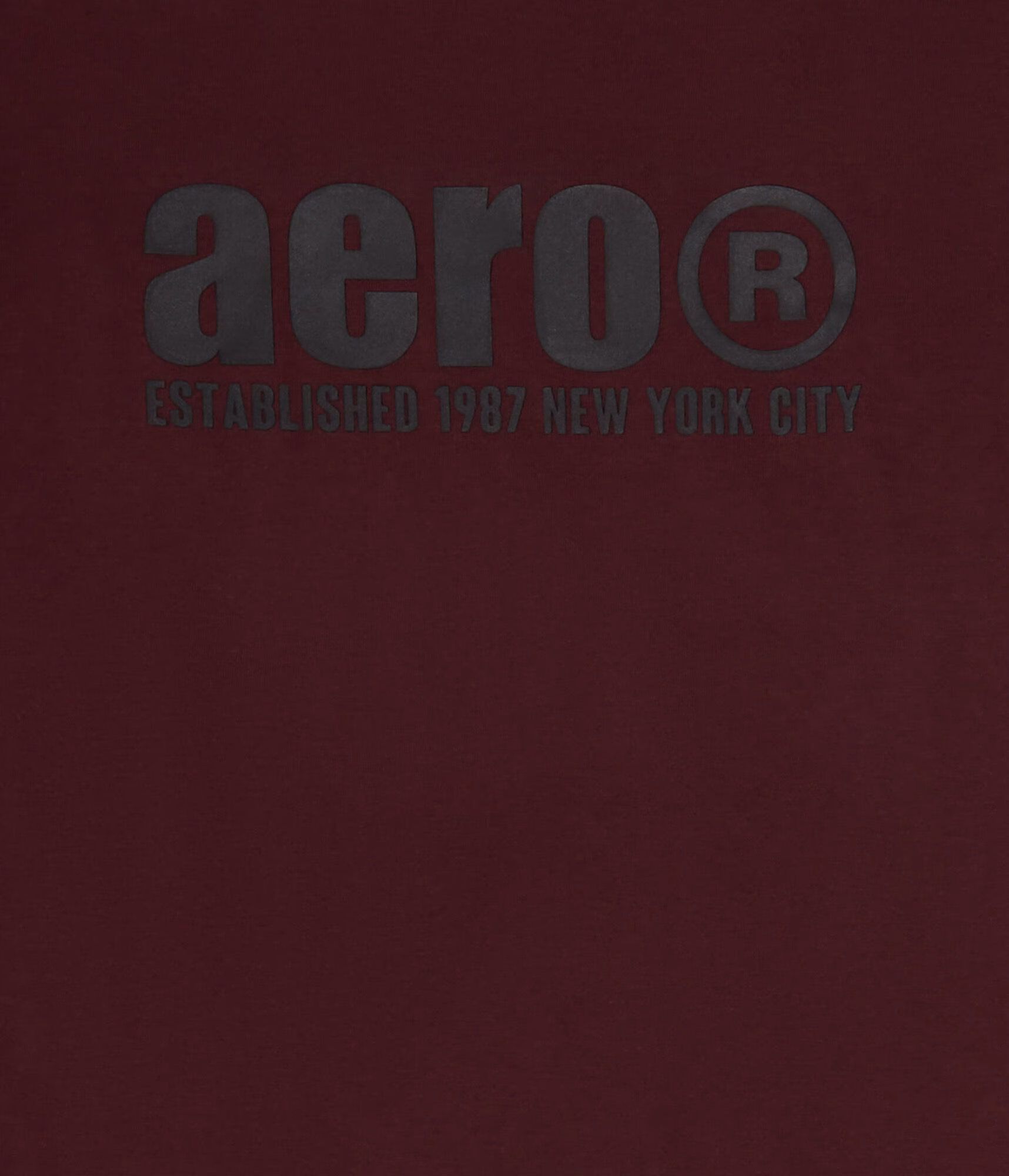 Aero Registered 1987 Graphic Tee bloomsberry