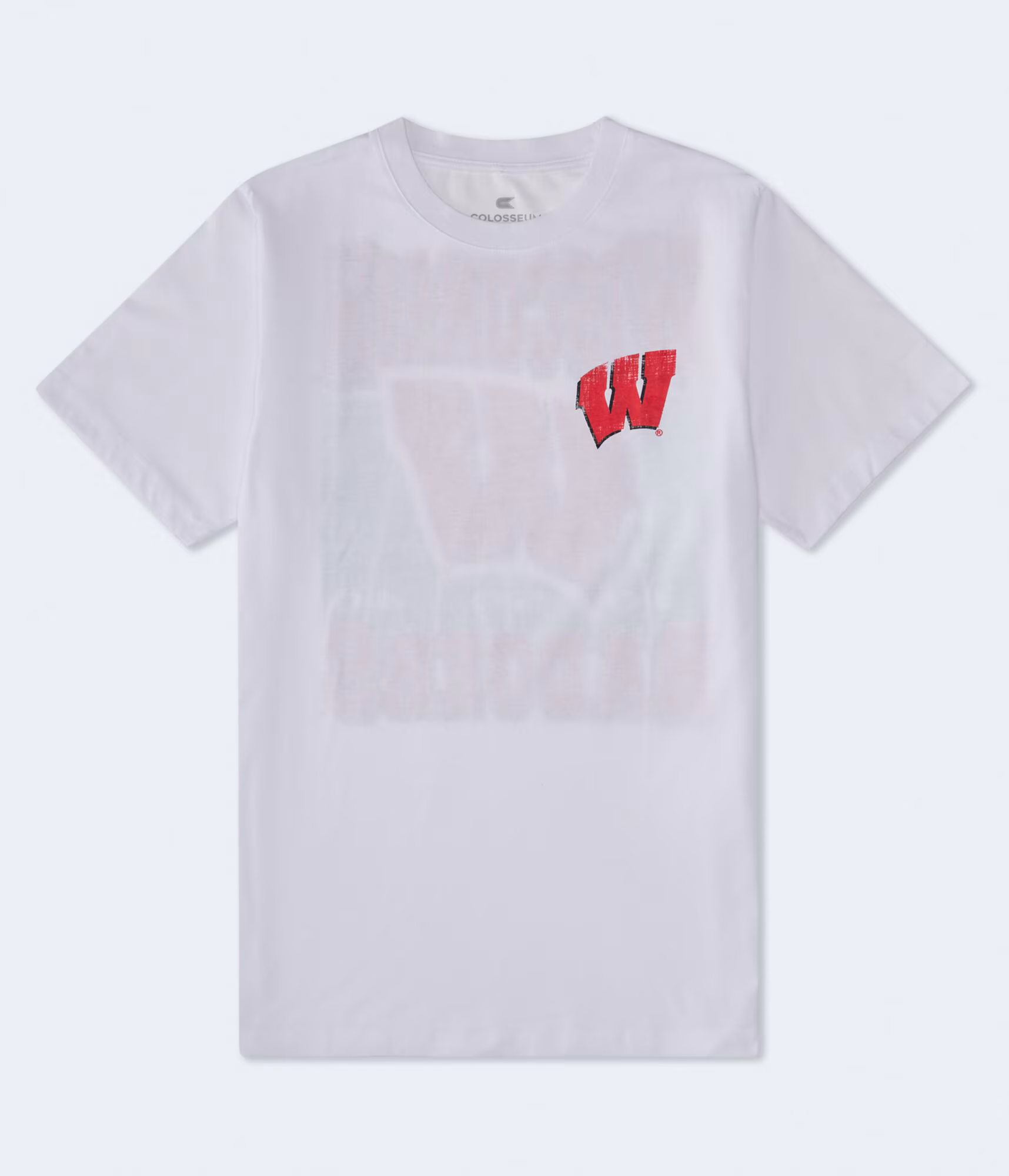Wisconsin Badgers Relaxed Graphic Tee white