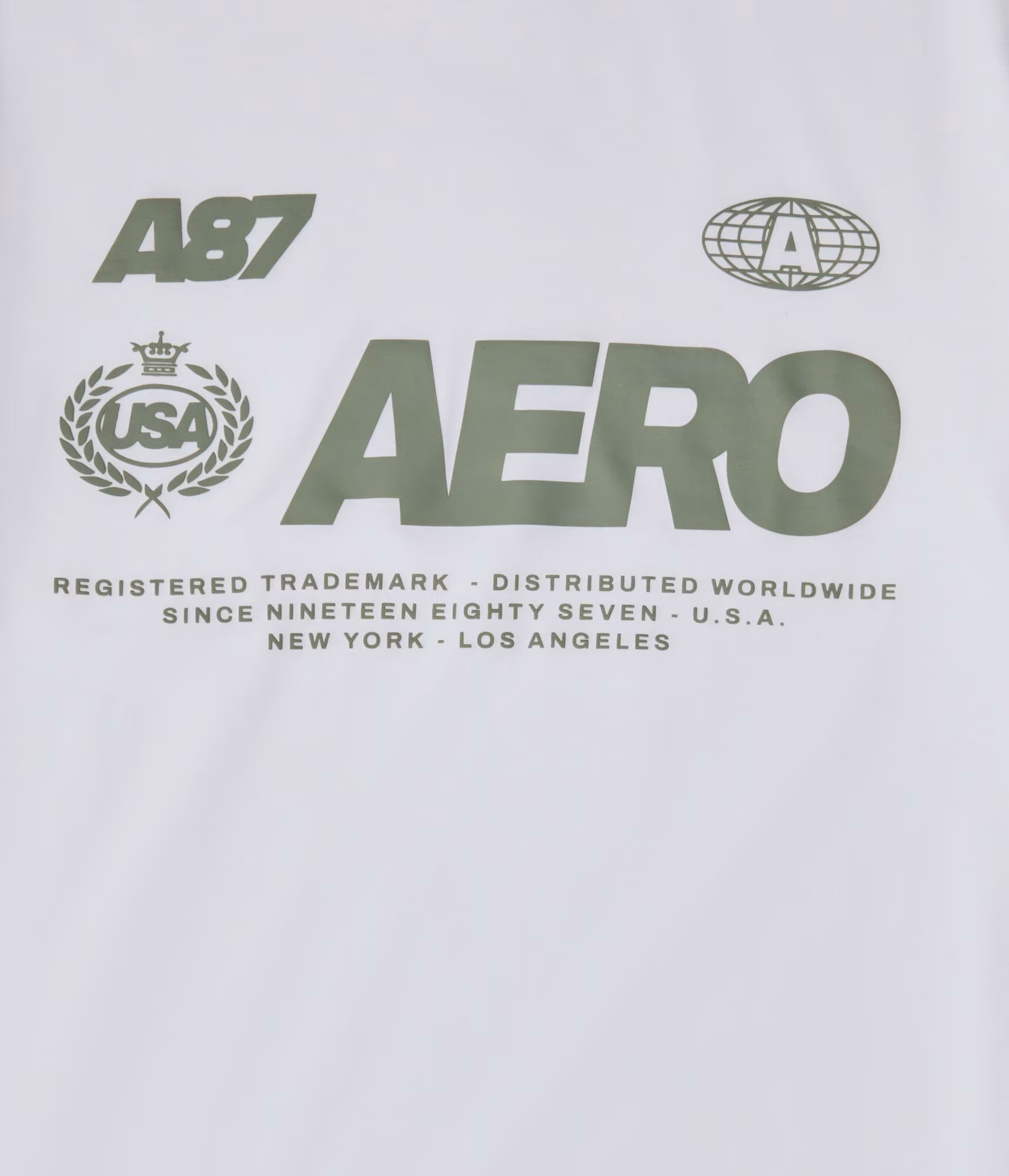 Aero Box Logo Graphic Tee bleach