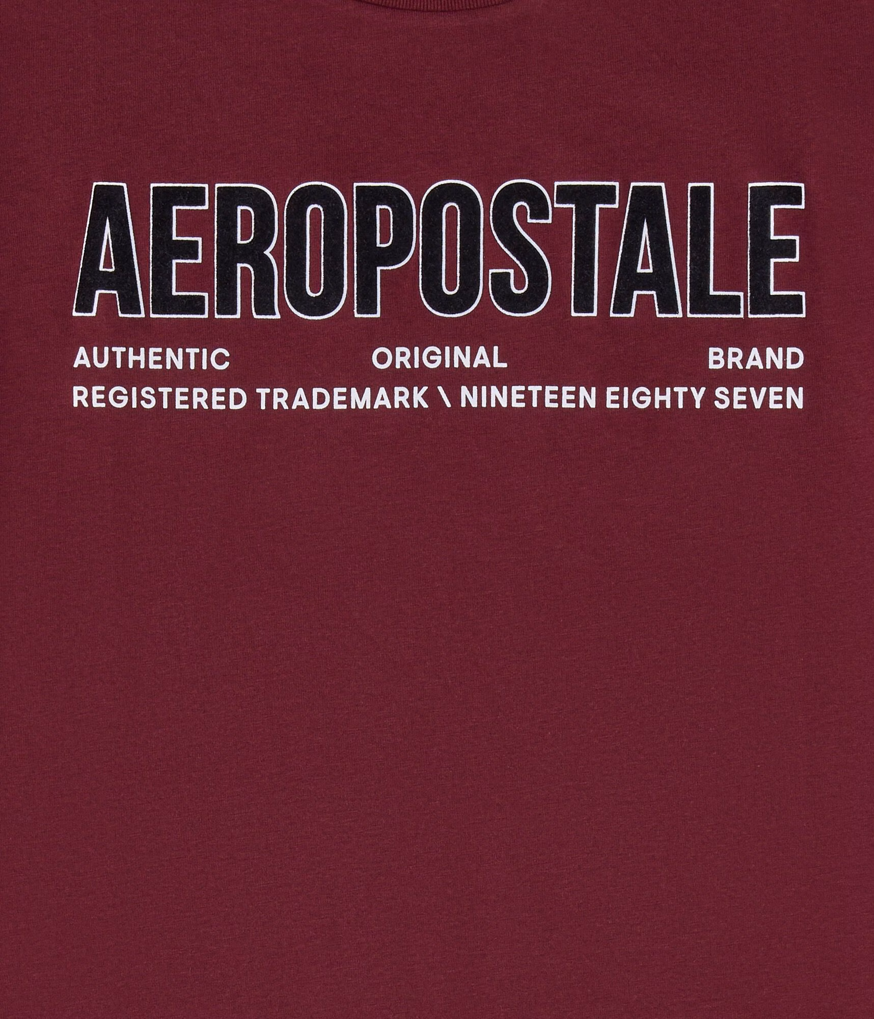 Aeropostale Authentic Logo Flocked Graphic Tee bloomsberry