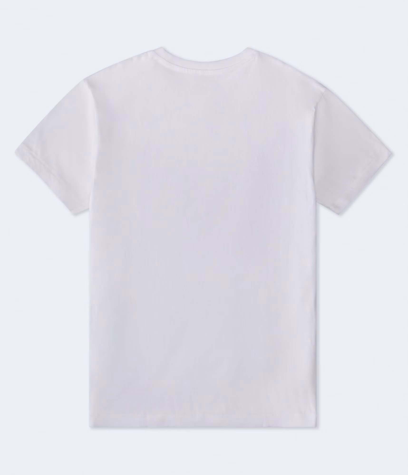 Aero Athletic Crest Appliqué Graphic Tee bleach