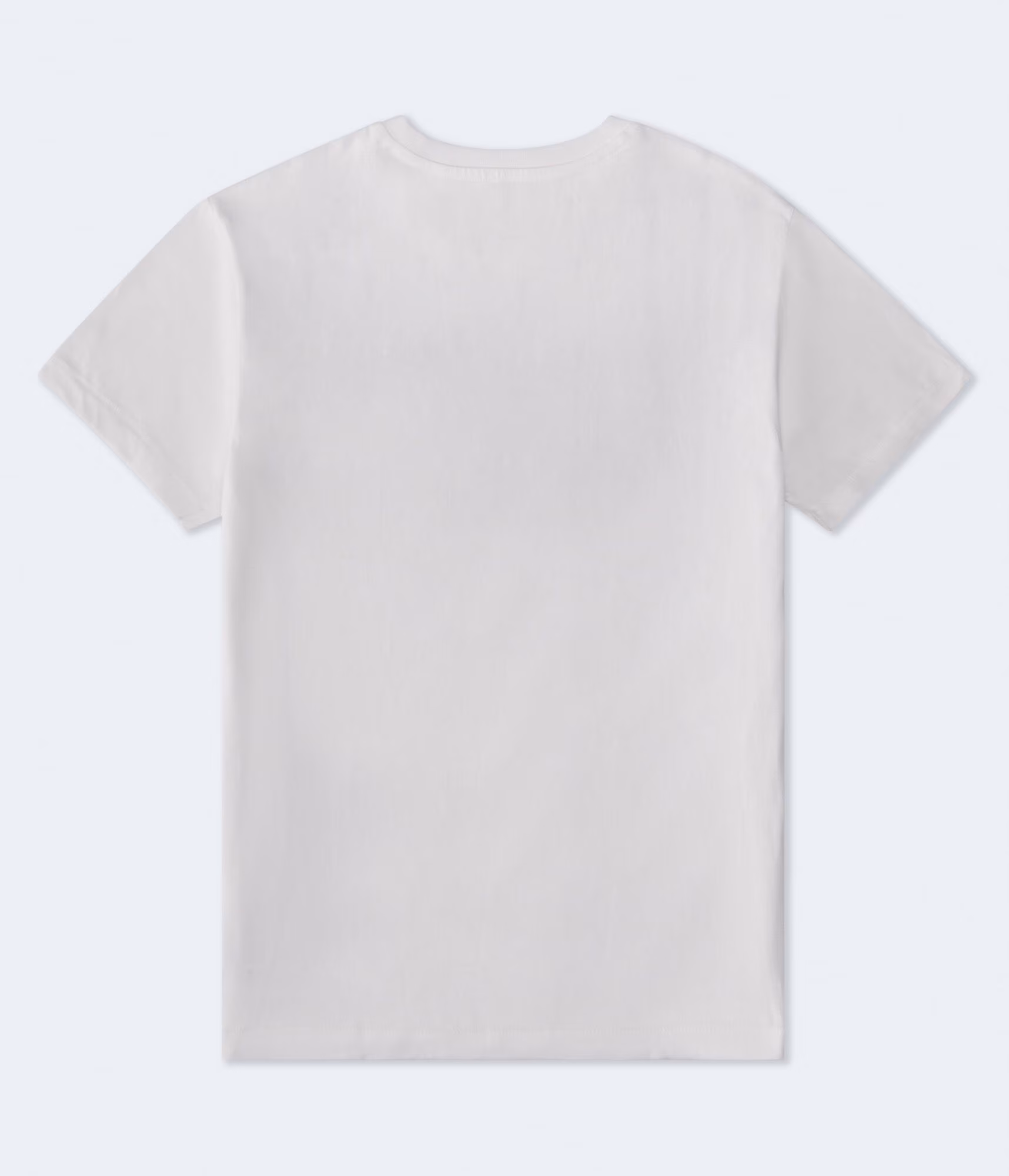 Aeropostale California Bear Appliqué Graphic Tee bleach