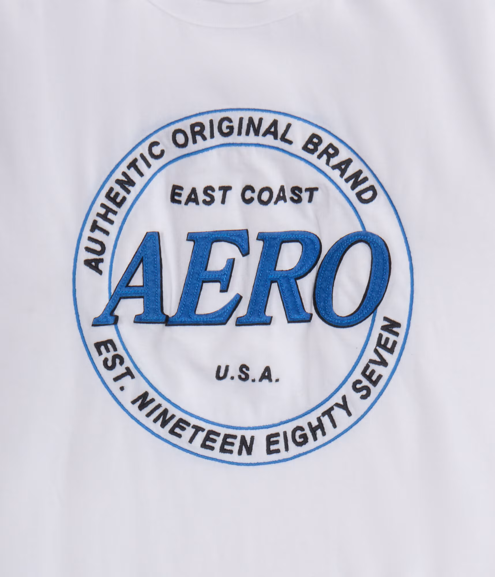Aero East Coast Appliqué Graphic Tee bleach