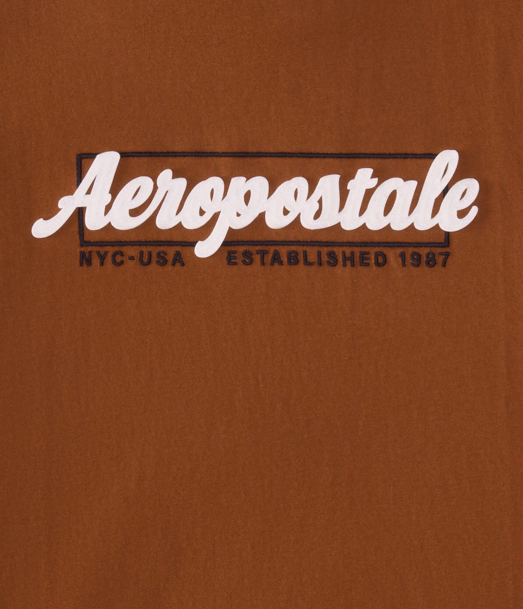 Aeropostale Box Logo Appliqué Graphic Tee medium brown