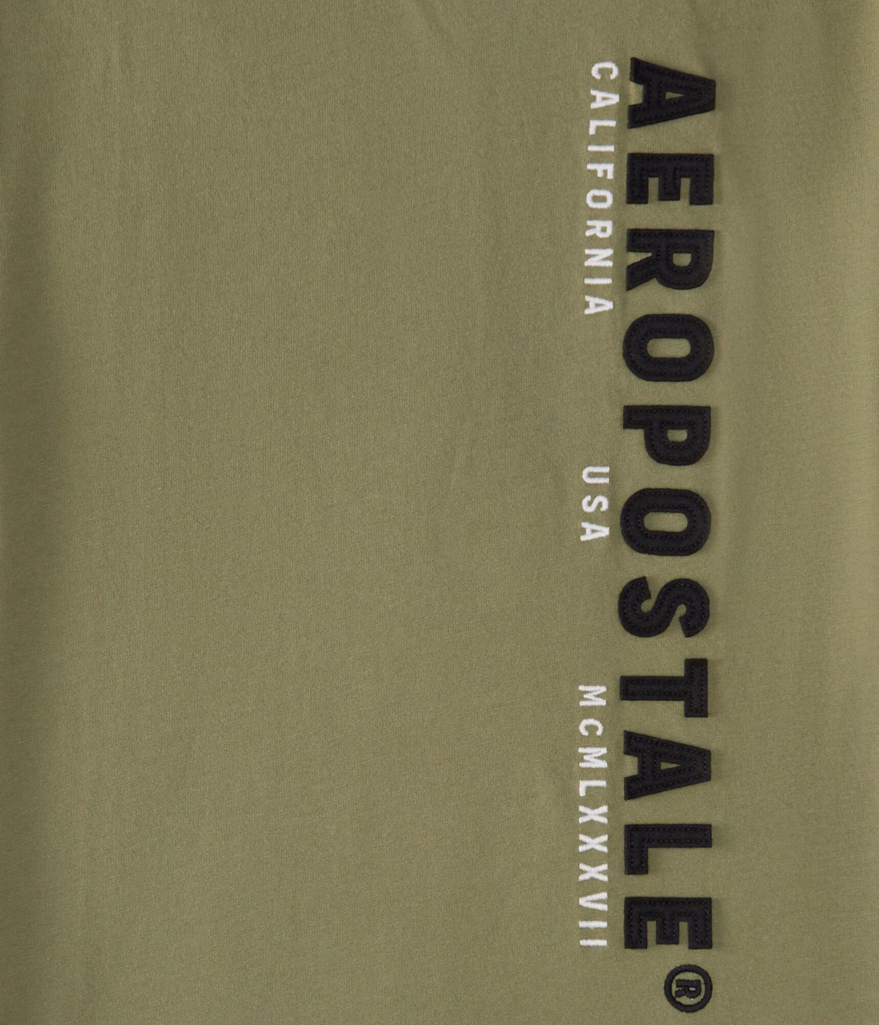 Aeropostale Vertical Logo Appliqué Graphic Tee olive
