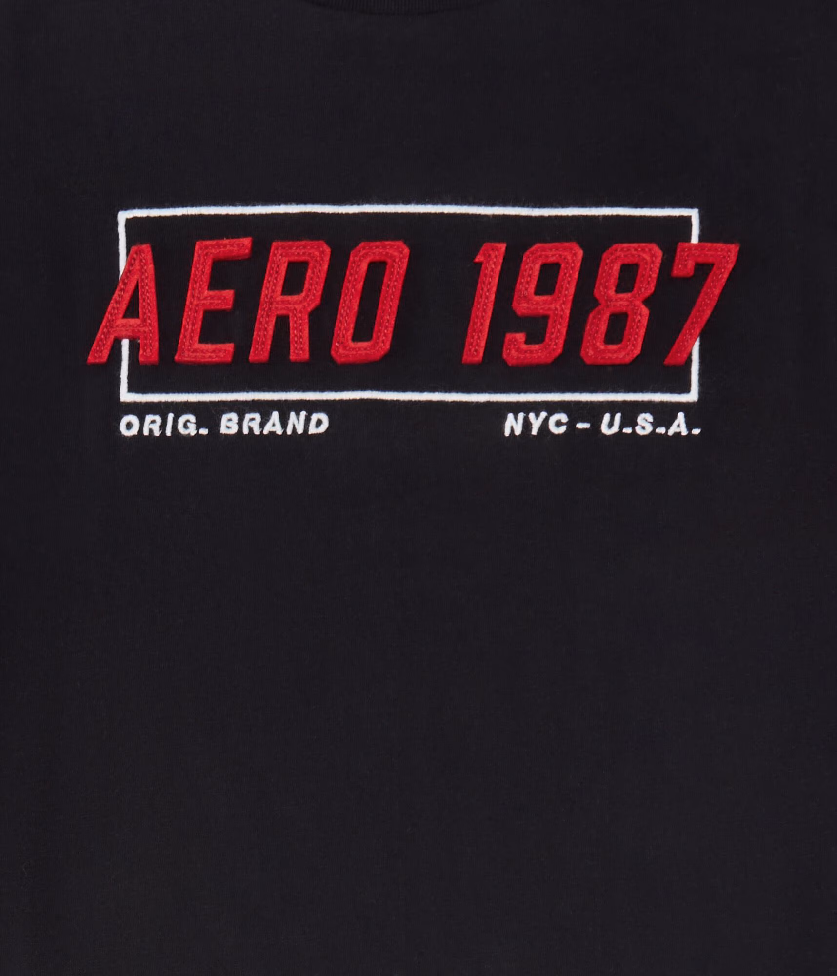 Aeropostale 1987 Box Logo Appliqué Graphic Tee black fox
